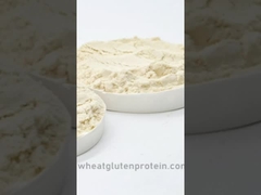 Gluten lúa mì quan trọng, Gluten lúa mì, Gluten